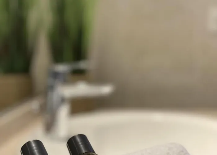 Les Iris * Castelnau-d'Aude