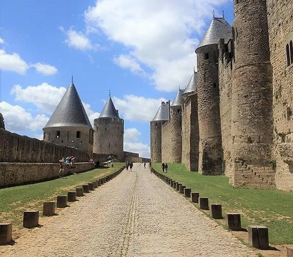 Les Iris Castelnau-d'Aude