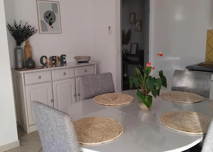 Les Iris Castelnau-d'Aude